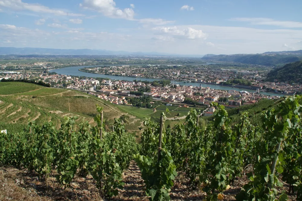 Vue sur le Rhône, et ses vignes en Drôme
